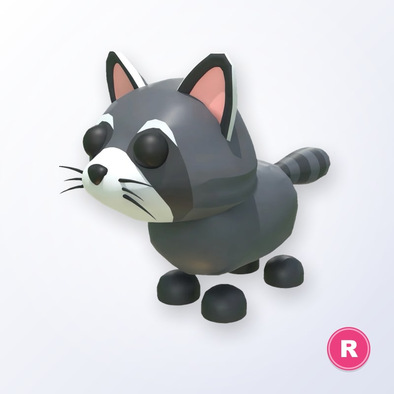 Raccoon R | Adopt Me