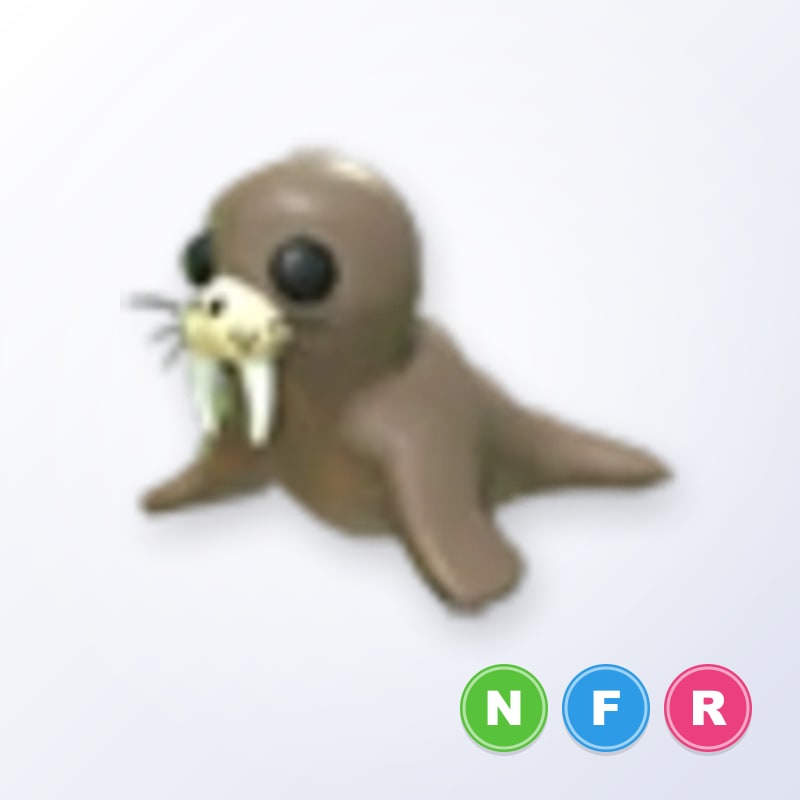 Walrus NFR | Adopt Me