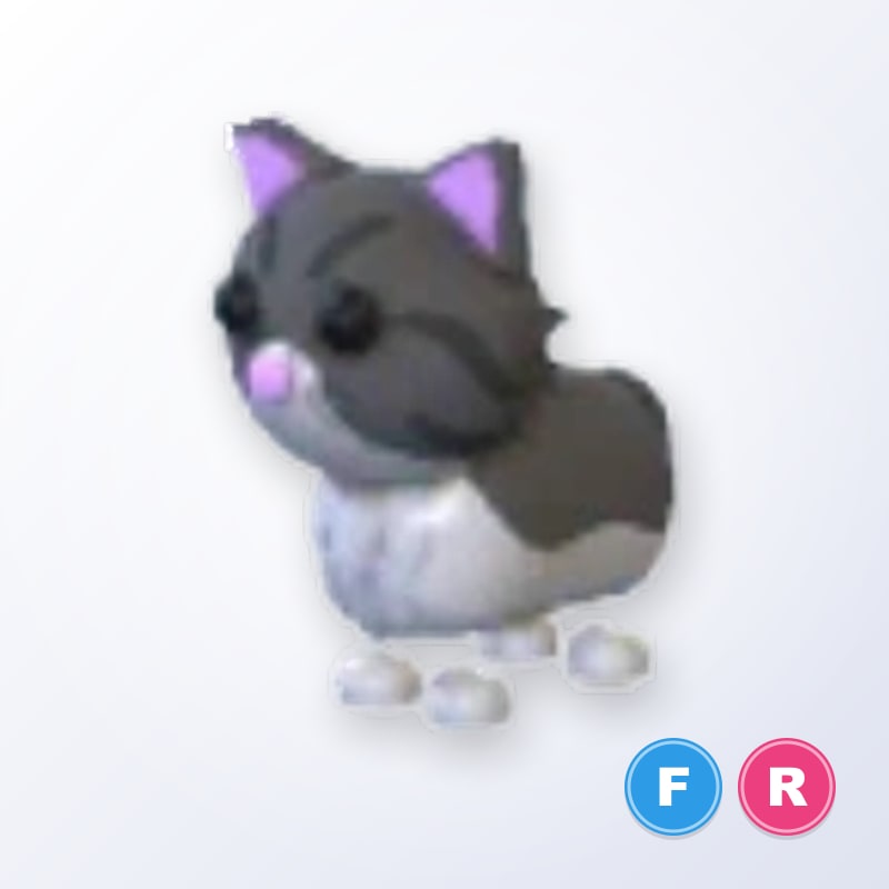 Persian Cat FR | Adopt Me