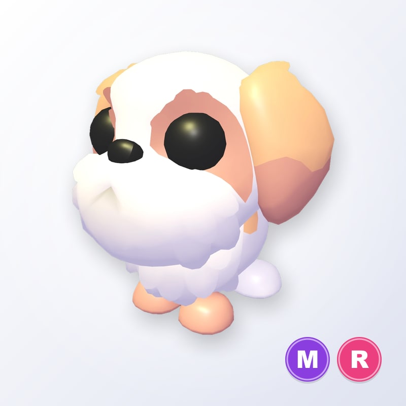 Shih Tzu MR | Adopt Me