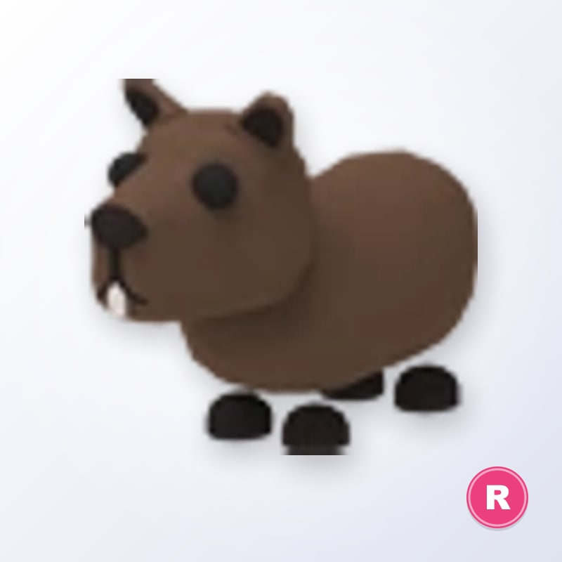 Capybara R | Adopt Me