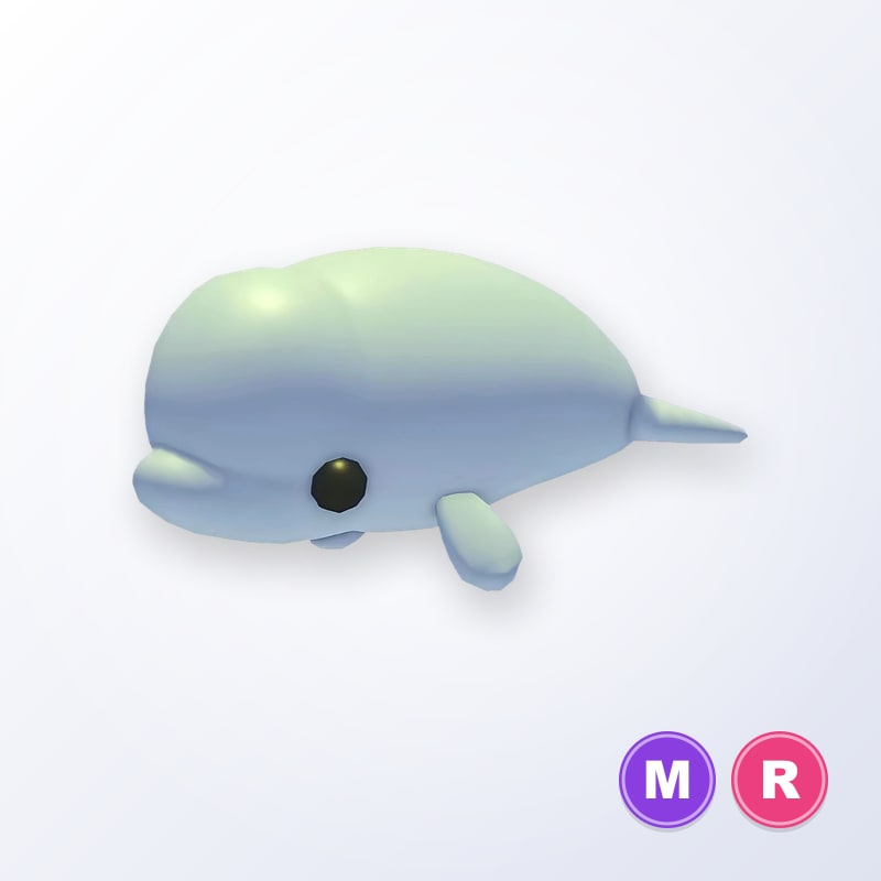 Beluga Whale MR | Adopt Me