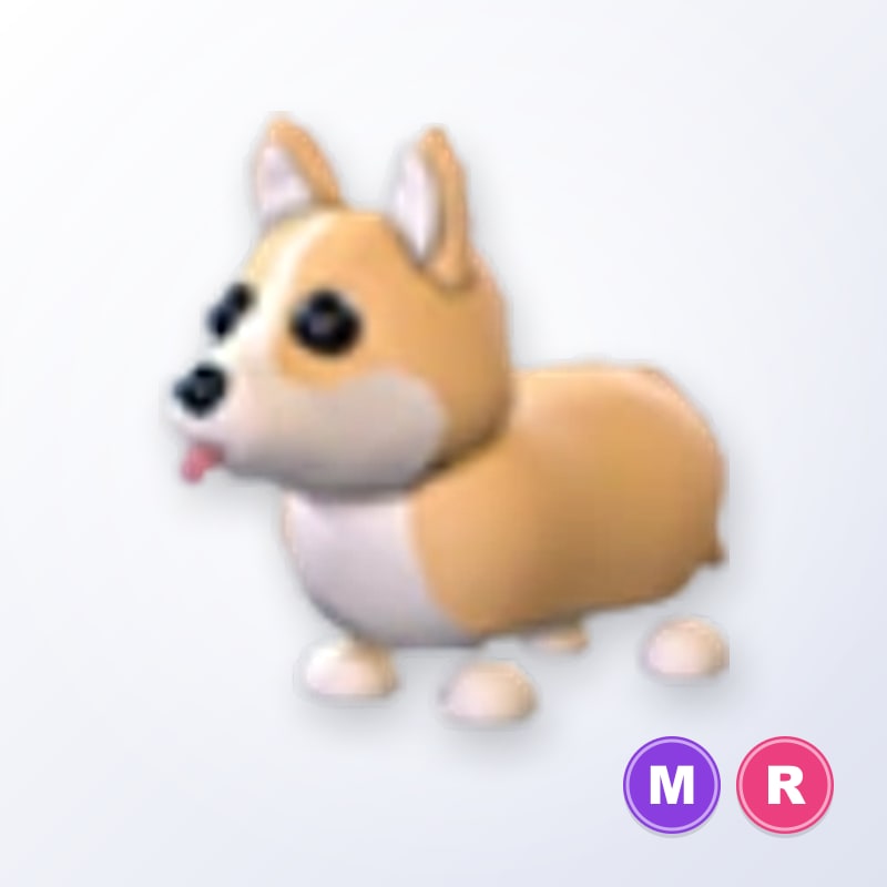 Corgi MR | Adopt Me