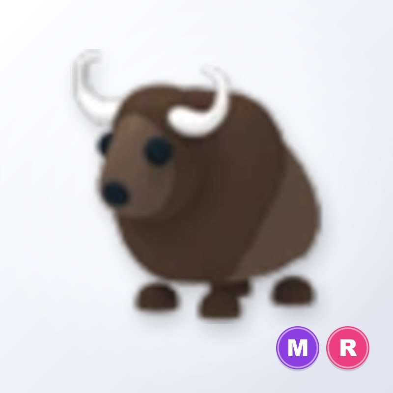 Buffalo MR | Adopt Me