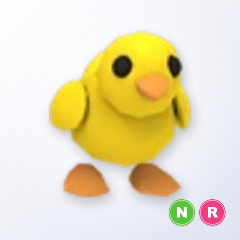 Chick NR | Adopt Me