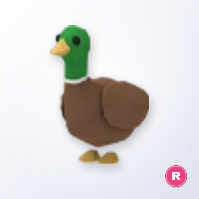 Drake R | Adopt Me