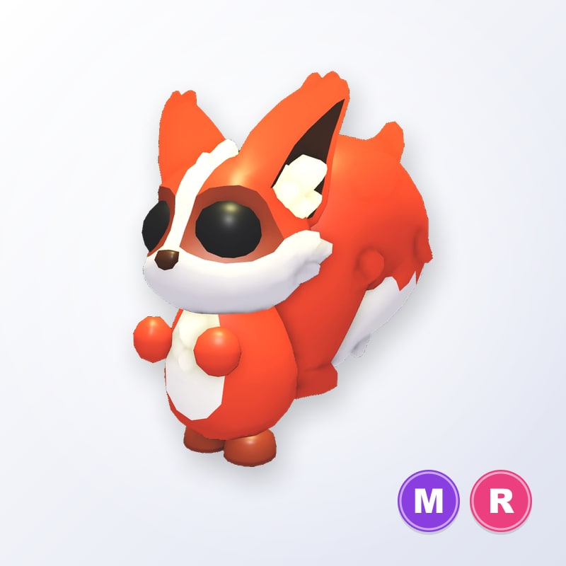 Ratatoskr MR | Adopt Me