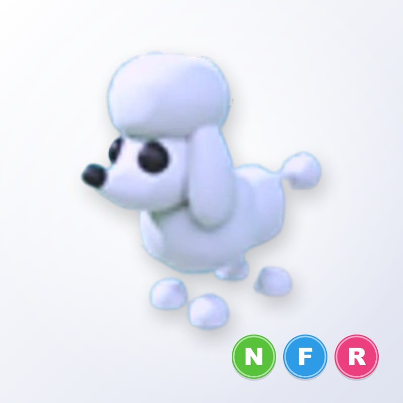 Poodle NFR | Adopt Me