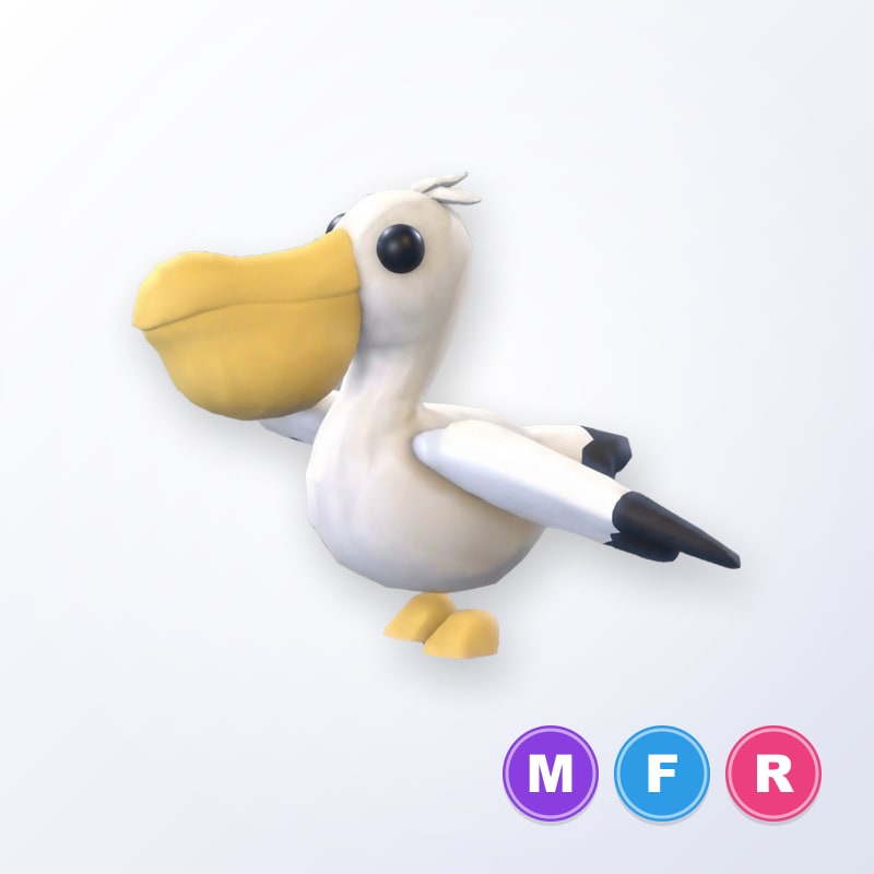 Pelican MFR | Adopt Me