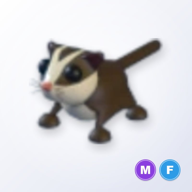 Sugar Glider MF | Adopt Me