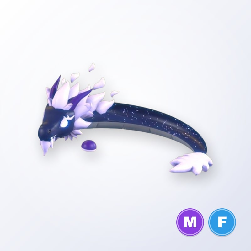 Midnight Dragon MF | Adopt Me