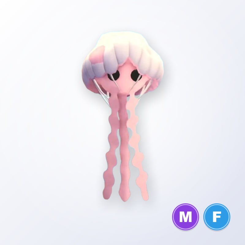 Jellyfish MF | Adopt Me