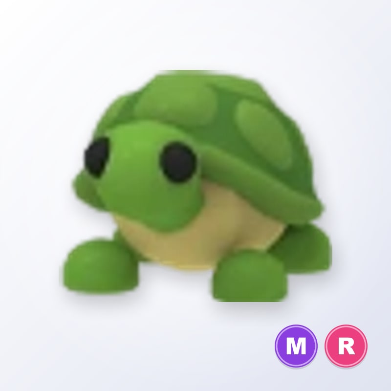 Turtle MR | Adopt Me