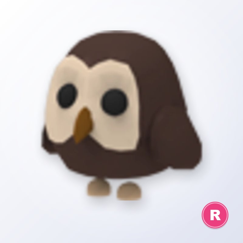 Owl R | Adopt Me