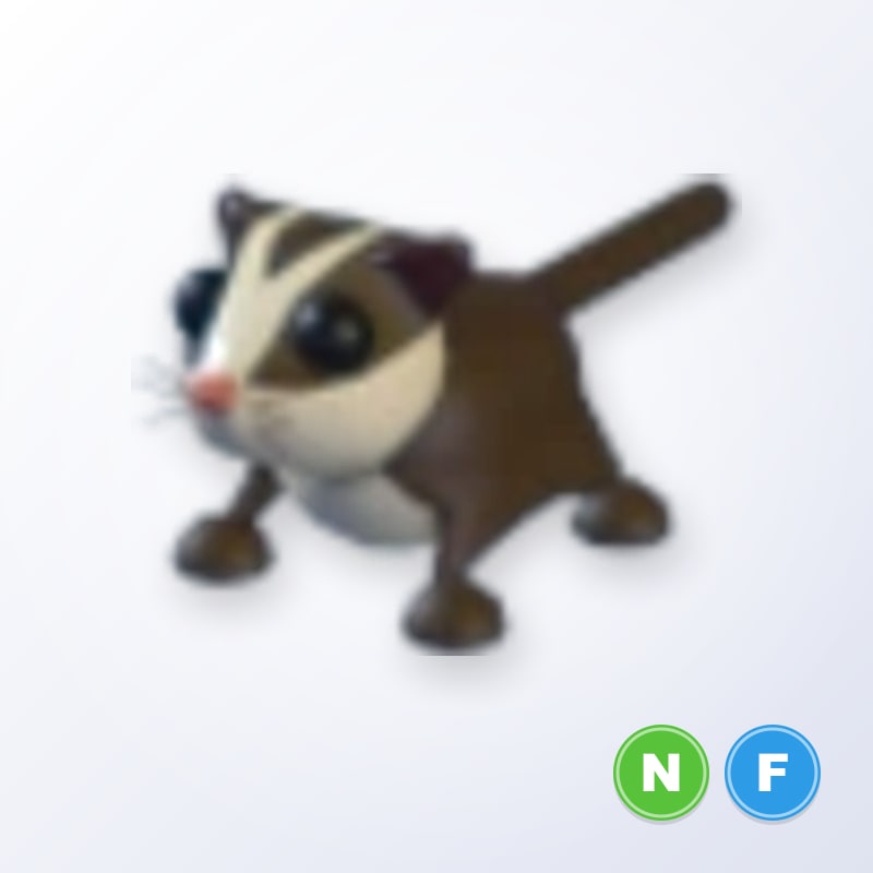Sugar Glider NF | Adopt Me