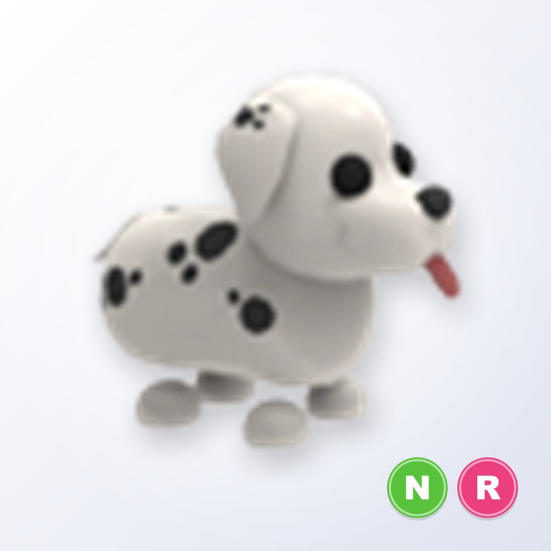 Dalmatian NR | Adopt Me