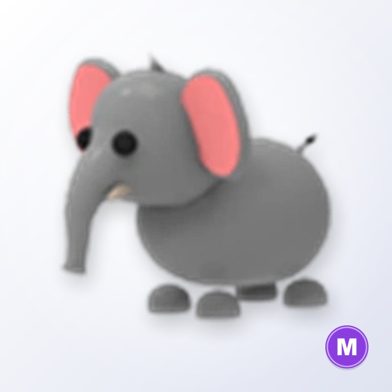 Elephant M | Adopt Me
