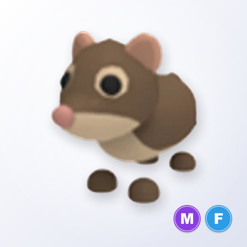 Shrew MF | Adopt Me