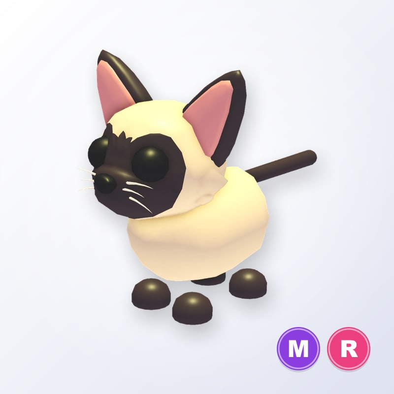 Siamese Cat MR | Adopt Me