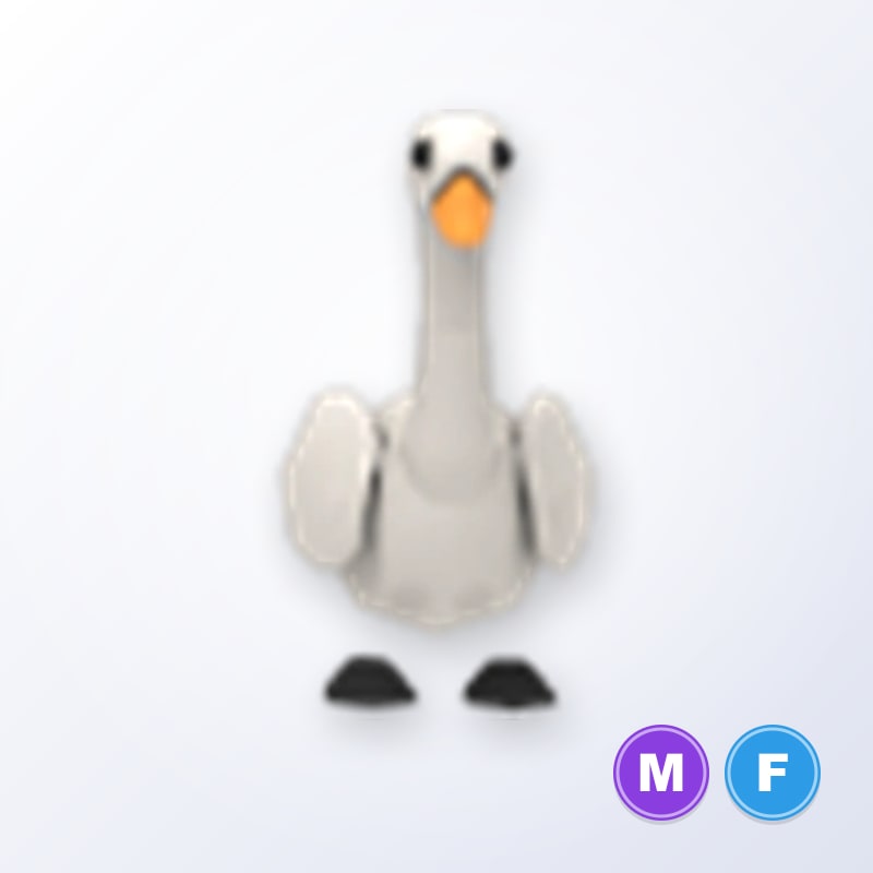 Swan MF | Adopt Me