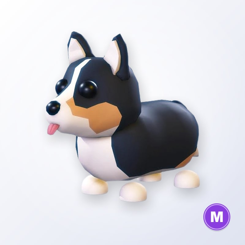 Royal Corgi M | Adopt Me