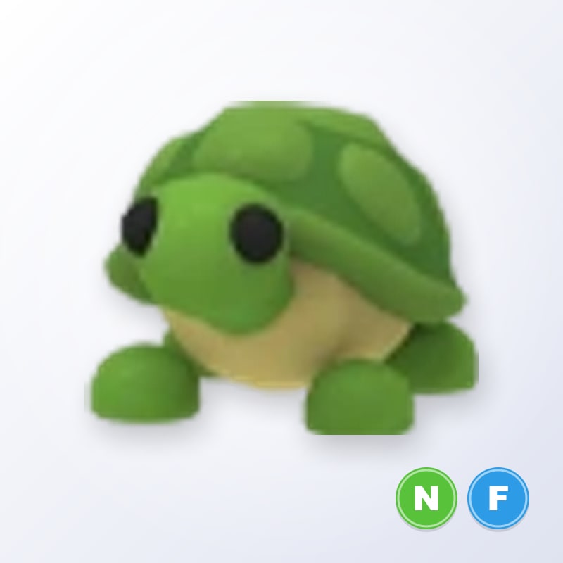 Turtle NF | Adopt Me