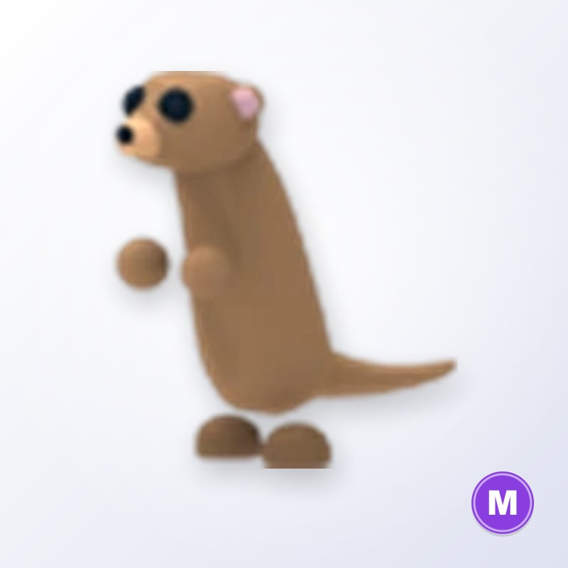 Meerkat M | Adopt Me