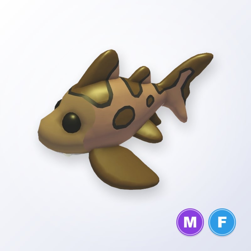 Leopard Shark MF | Adopt Me