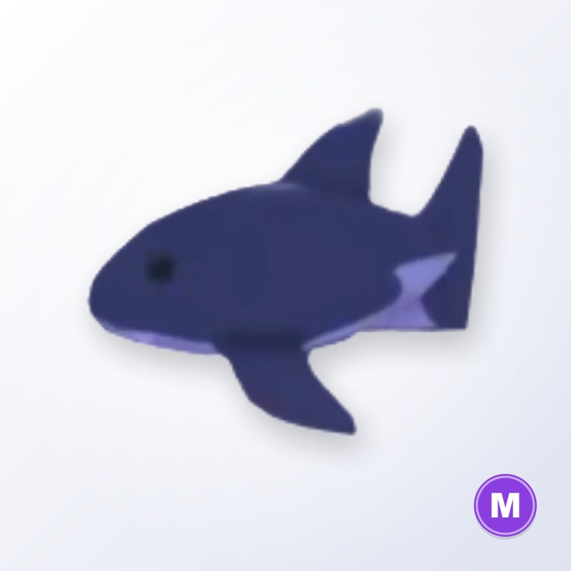 Shark M | Adopt Me