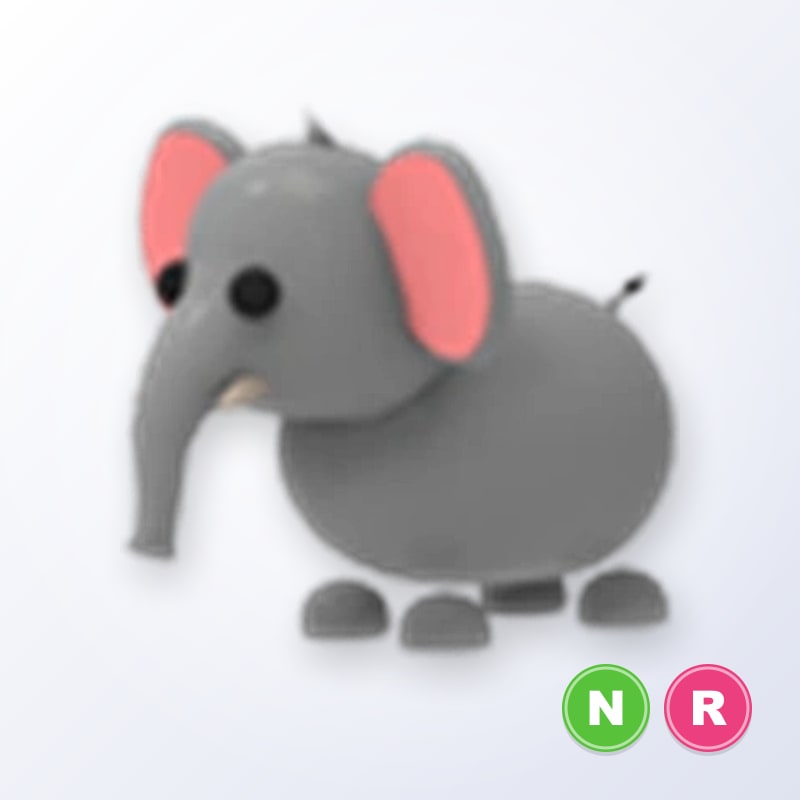 Elephant NR | Adopt Me