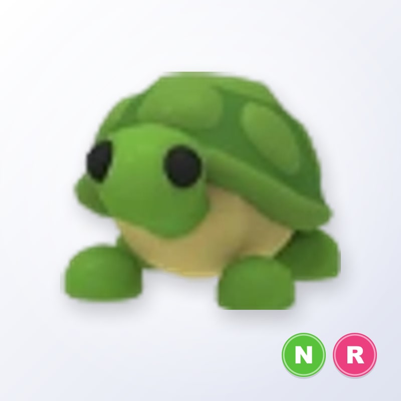 Turtle NR | Adopt Me