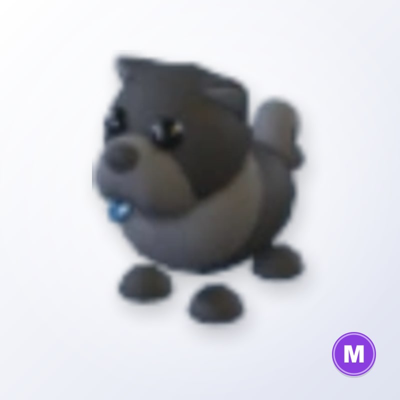 Black Chow-Chow M | Adopt Me