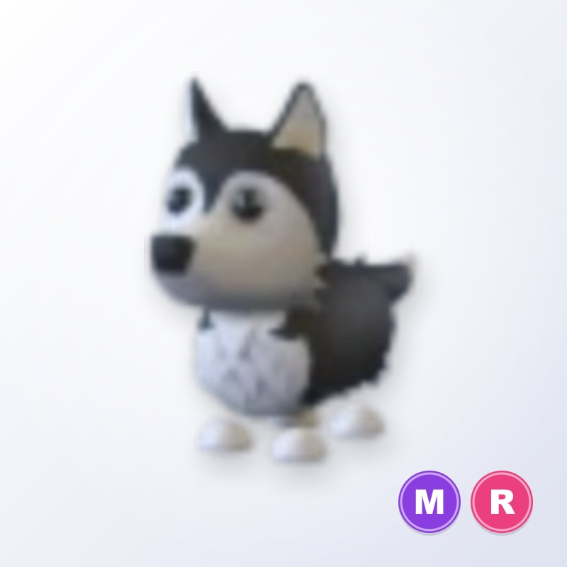 Husky MR | Adopt Me