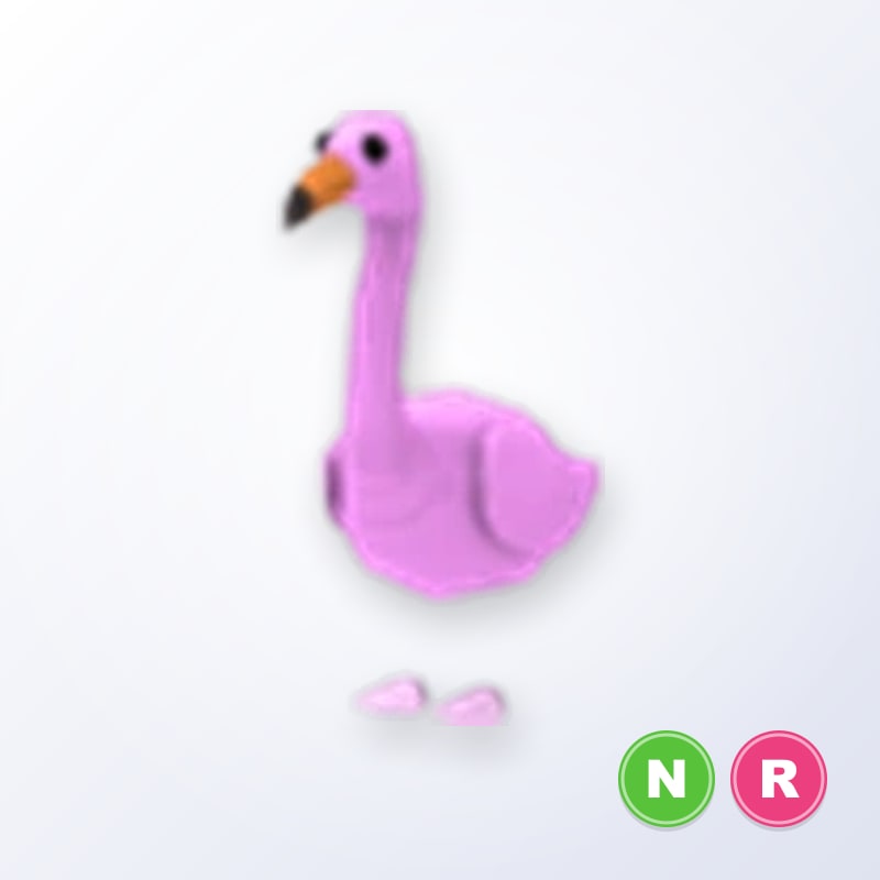 Flamingo NR | Adopt Me
