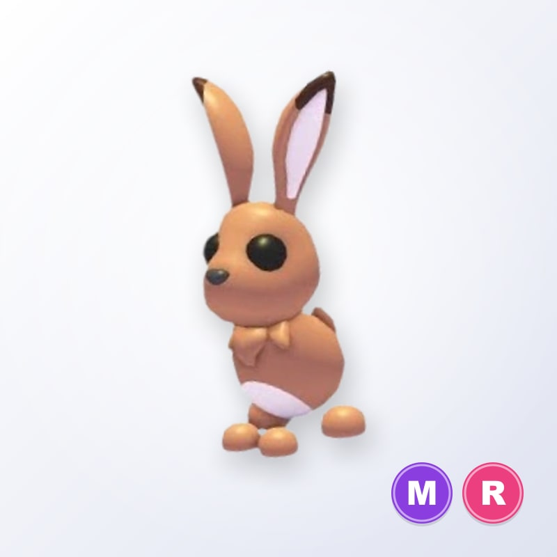 Hare MR | Adopt Me
