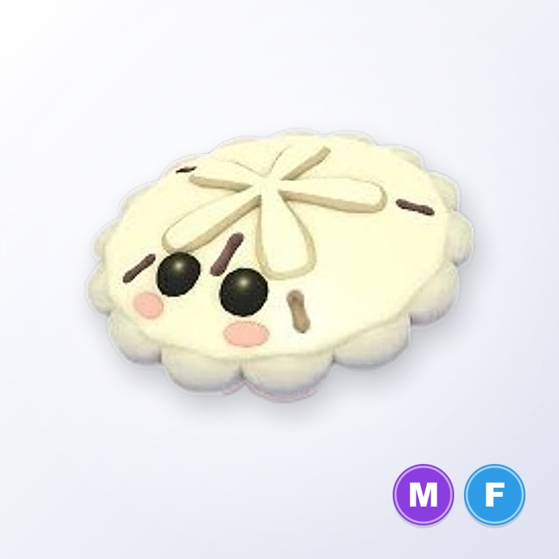 White Sand Dollar MF | Adopt Me