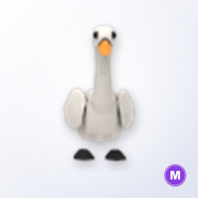 Swan M | Adopt Me