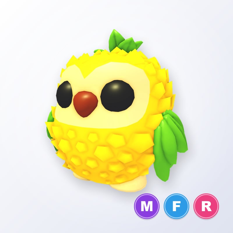 Pineapple Owl MFR | Adopt Me