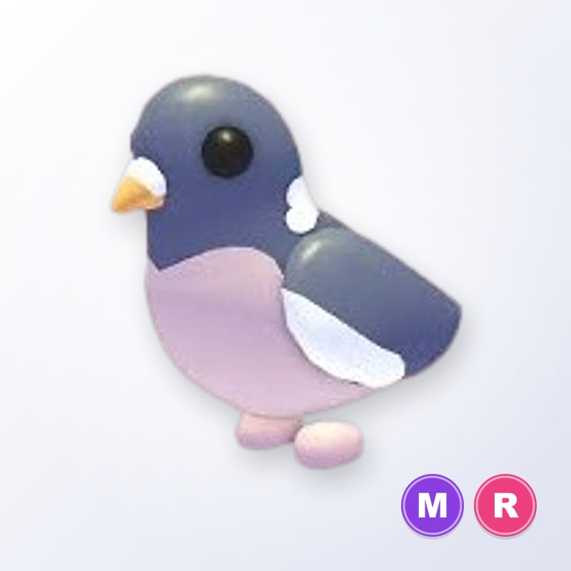 Wood Pigeon MR | Adopt Me