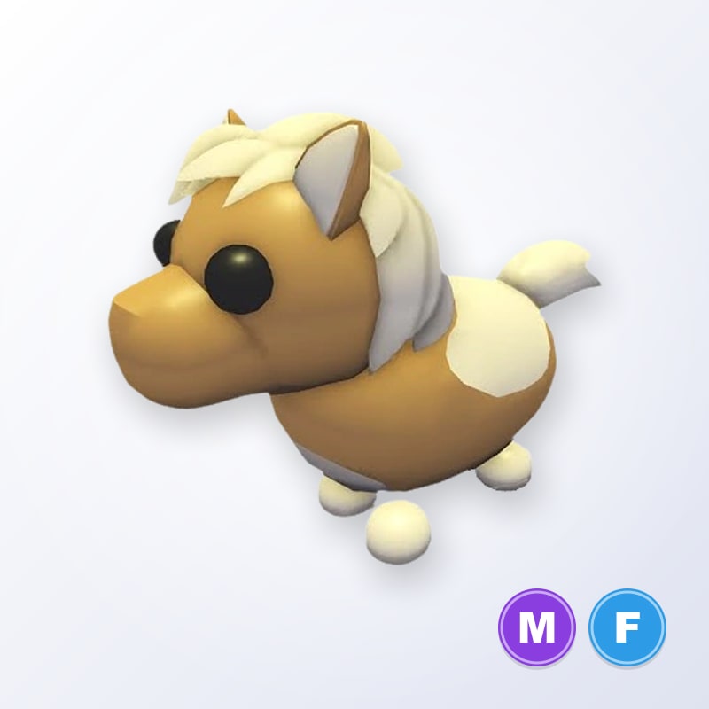 Shetland Pony Light Brown MF | Adopt Me