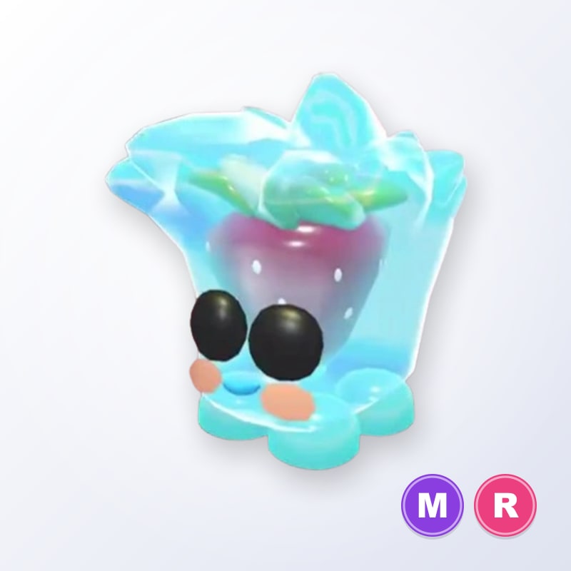 Berry Cool Cube MR | Adopt Me