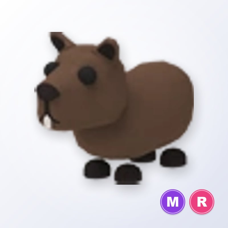 Capybara MR | Adopt Me