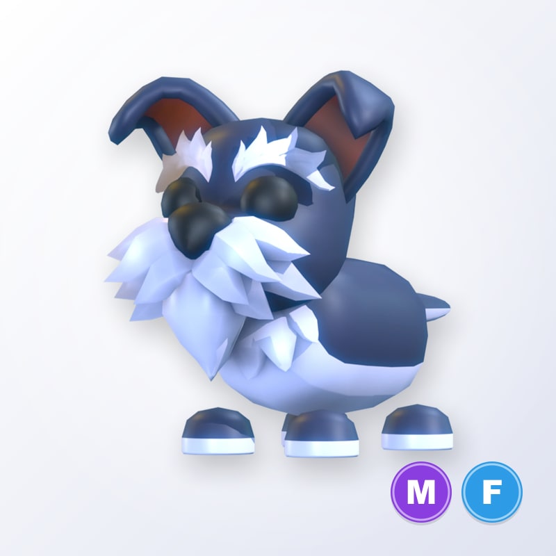 Mini Schnauzer MF | Adopt Me