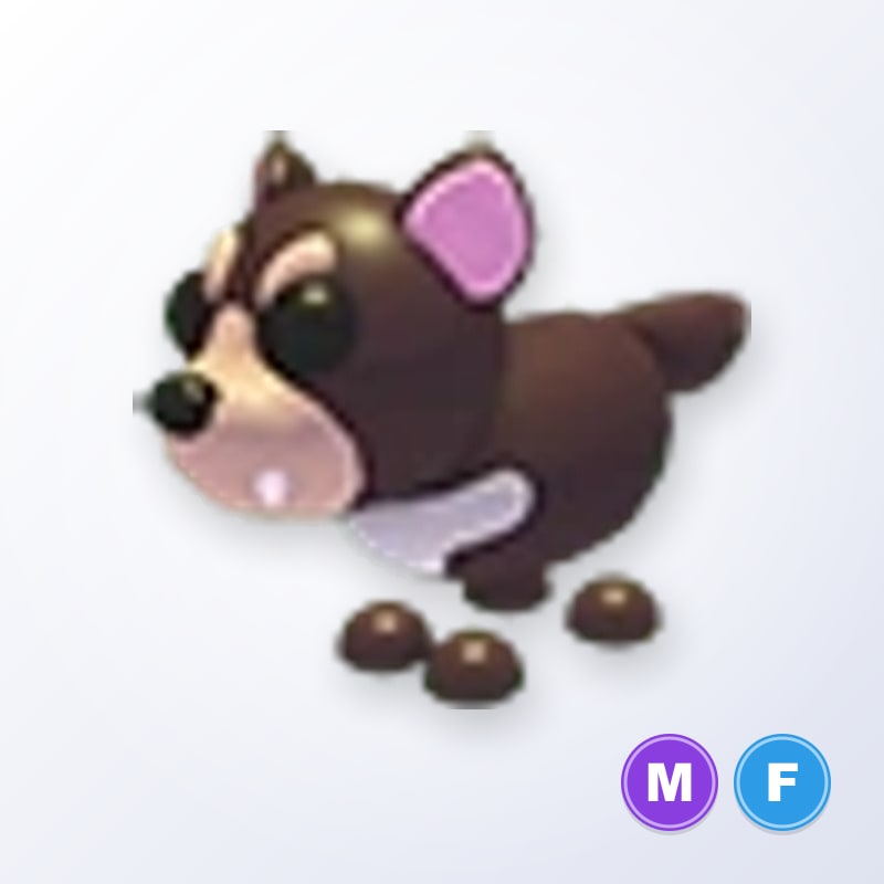 Tasmanian Devil MF | Adopt Me