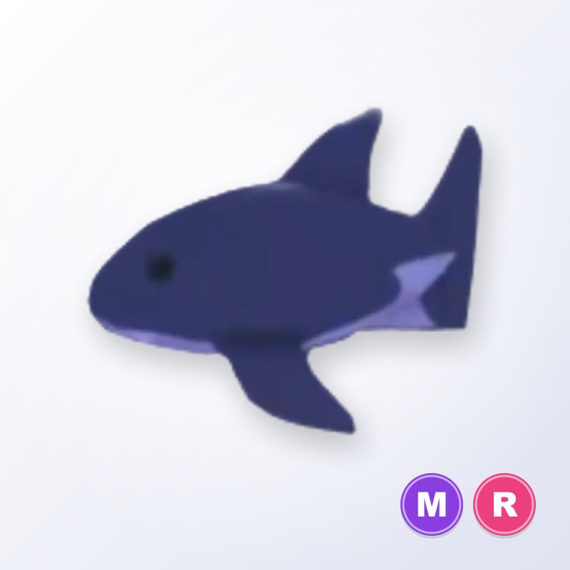 Shark MR | Adopt Me