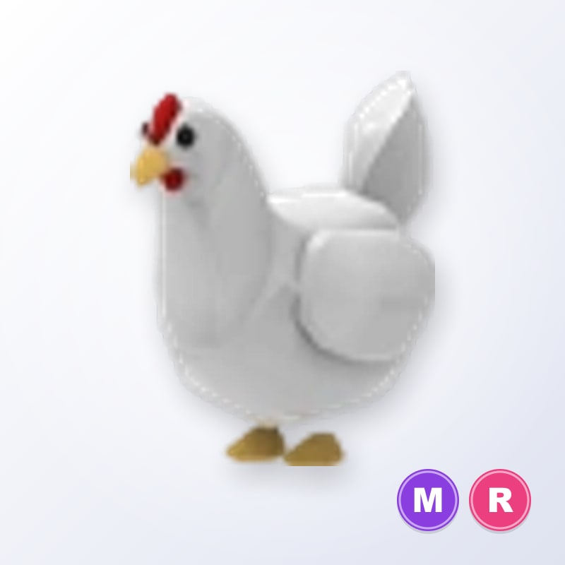 Chicken MR | Adopt Me
