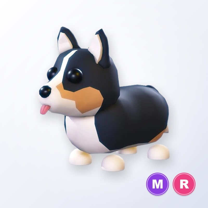Royal Corgi MR | Adopt Me