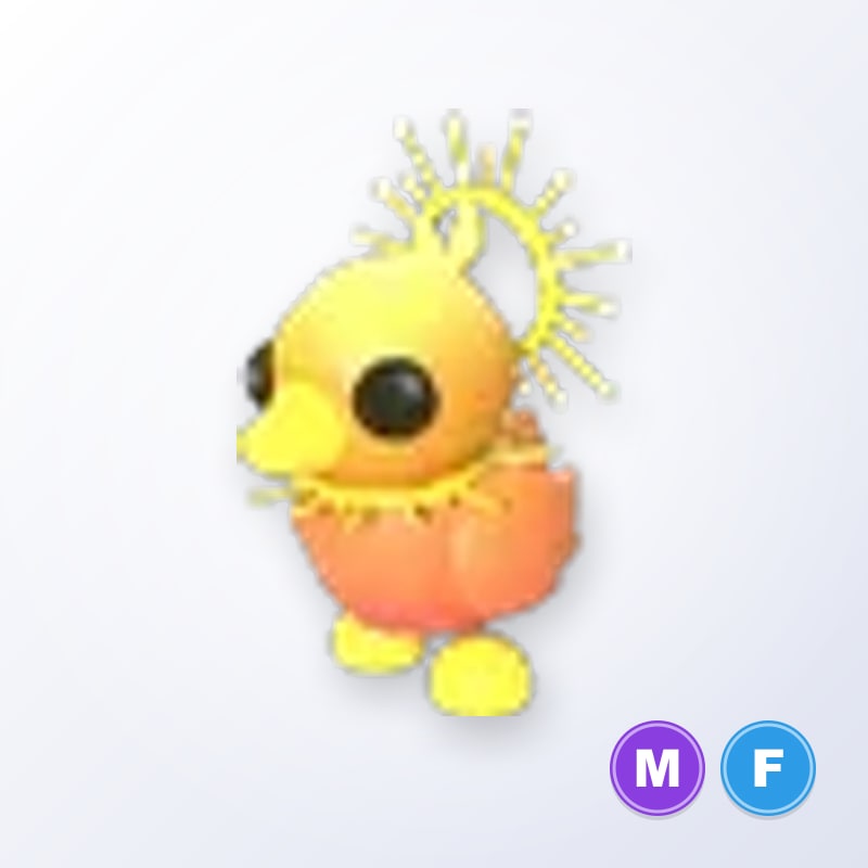 Sunrise Duckling MF | Adopt Me