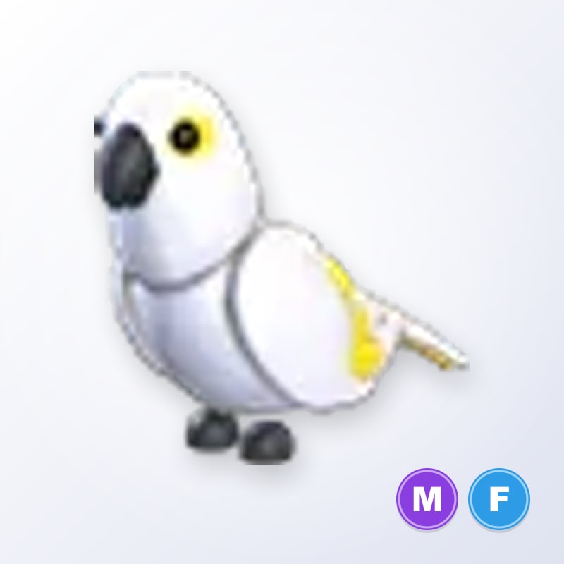 White Amazon MF | Adopt Me