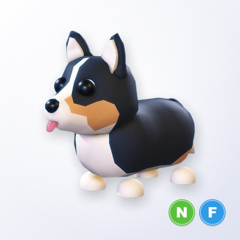 Royal Corgi NF | Adopt Me